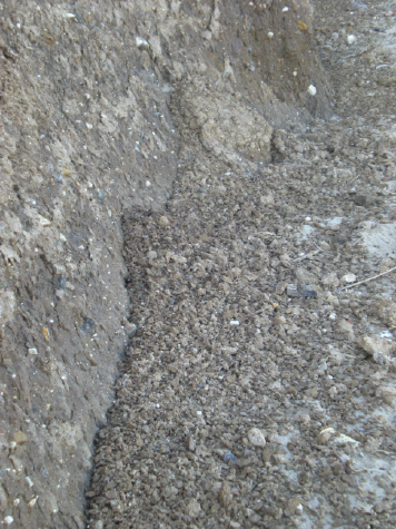  Kilnsea: 15 October 2011 